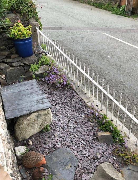 Annie'S Cottage Llanrhaeadr-ym-Mochnant Екстериор снимка