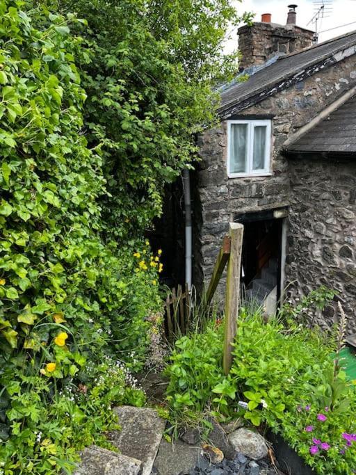 Annie'S Cottage Llanrhaeadr-ym-Mochnant Екстериор снимка