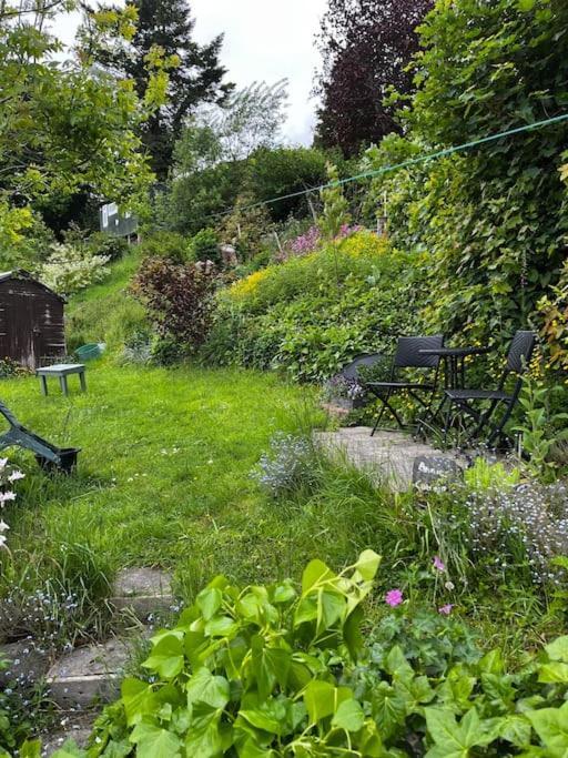 Annie'S Cottage Llanrhaeadr-ym-Mochnant Екстериор снимка