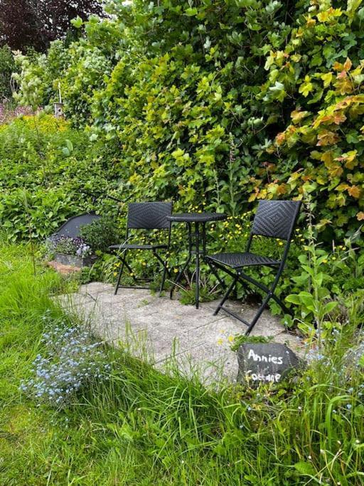 Annie'S Cottage Llanrhaeadr-ym-Mochnant Екстериор снимка